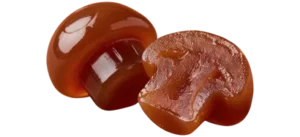 gumies samosatne kohi